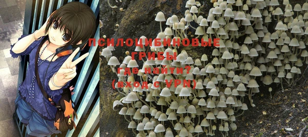 мет Верея